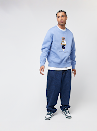 Polo Ralph Lauren, Long Sleeve Sweatshirt, blue, Image 4 of 4