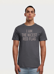 Mister Tee, Nicest Red Flag Tee, grey, Image 1 of 3