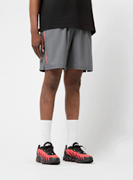 Under Armour, Tech Woven Wordmark Short, grey, Image 1 of 4