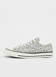 Converse, Chuck Taylor All Star, white, Image 1 of 7