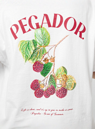 Pegador, Malli Heavy Oversized Tee, biały, Obraz 4 z 5