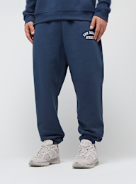 New Balance, Sport Essentials Fleece Graphic Jogger, blauw, Afbeelding 1 van 5