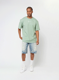 Karl Kani, Small Signature Essential Tee, groen, Afbeelding 4 van 4