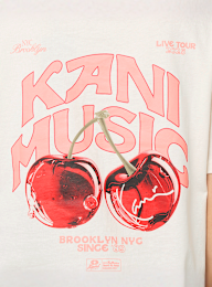 Karl Kani, Signature Cherry Print Oversized T-Shirt, beige, Image 4 of 5