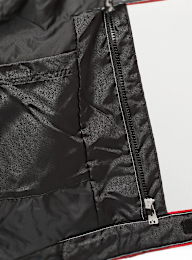 PUMA, F1 Lifestyle Racing Jacket, black, Image 5 of 6