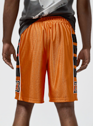 Jordan, Brooklyn Cat Scratch Shorts, orange, Image 2 of 7