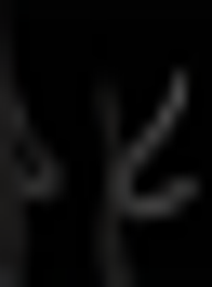 adidas Originals, Teamgeist Trackpants, czarny, Obraz 6 z 7