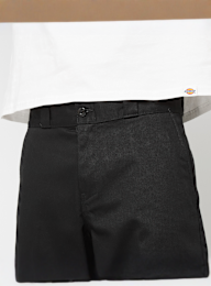 Dickies, 248 PANT desert sand, black, Image 3 of 6