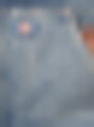 Dickies, Hilham Hooded Jacket, blue, Image 3 of 5