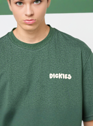 Dickies, Gordonsville Short Sleeve Tee, zielony, Obraz 3 z 5