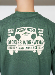 Dickies, Gordonsville Short Sleeve Tee, zielony, Obraz 4 z 5