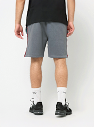 Under Armour, Icon Fleece Short Taping, grey, Image 2 of 7