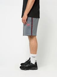 Under Armour, Icon Fleece Short Taping, grey, Image 4 of 7