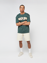 Mister Tee, Reach High Fear None Oversize Tee, green, Image 4 of 4