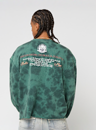 Smoke Rise, MAGNIFICENCE FLEECE CREWNECK JUNE BUG, green, Image 2 of 5