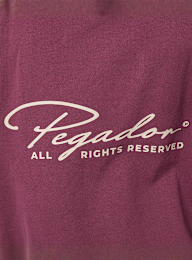 Pegador, Pike Oversized Hoodie Washed Maroon Red Stone, red, Image 4 of 5