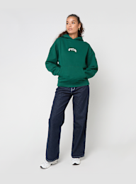 Pegador, RESA OVERSIZED HOODIE WASHED DARK GREEN, green, Image 5 of 5