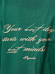 Pegador, Felin Heavy Oversized Tee, green, Image 4 of 5