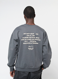 HALO, Graphic Boxy Crew, grijs, Afbeelding 1 van 5