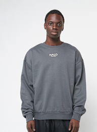 HALO, Graphic Boxy Crew, grijs, Afbeelding 2 van 5