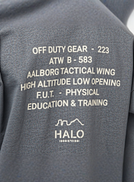 HALO, Graphic Boxy Crew, grey, Image 4 of 5