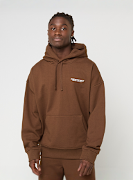 Polo Sport Ralph Lauren, Long Sleeve Hoodie, brown, Image 2 of 5