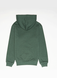 Jordan, MJ Brooklyn Fleece Pullover Hoodie, green, Image 2 of 4