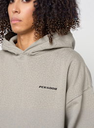 Pegador, LOGO OVERSIZED HOODIE WASHED BLACK, beige, Image 3 of 4