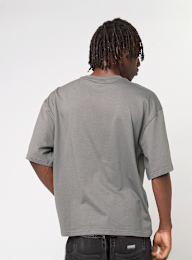 Karl Kani, Kani Usa Boxy T-Shirt, grey, Image 2 of 4