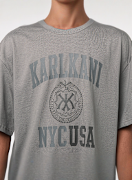 Karl Kani, Kani Usa Boxy T-Shirt, grey, Image 3 of 4