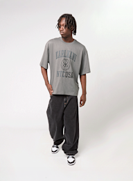 Karl Kani, Kani Usa Boxy T-Shirt, grey, Image 4 of 4