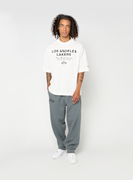 New Era, NBA LINEAR GRAPHIC BOX TEE LOS ANGELES LAKERS WHI, white, Image 5 of 5