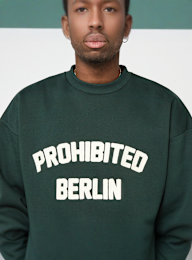 Prohibited, Berlin Prohibited Berlin Crew Neck, green, Image 3 of 5