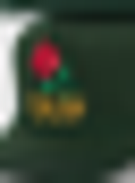 Field Grade, Have A Nice Day Twill Mesh Trucker, green, Image 4 of 4