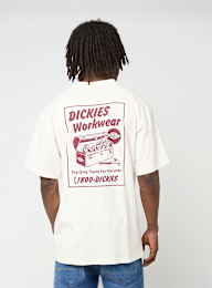 Dickies, Dry Ridge Shortsleeve Tee, beige, Afbeelding 1 van 5