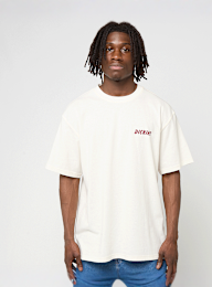 Dickies, Dry Ridge Shortsleeve Tee, beige, Afbeelding 2 van 5