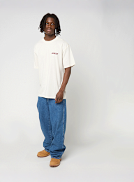 Dickies, Dry Ridge Shortsleeve Tee, beige, Afbeelding 5 van 5