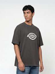Dickies, Plainville Shortsleeve Tee, grey, Image 1 of 4