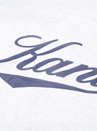 Karl Kani, Signature Zip Hoodie, grey, Image 3 of 5