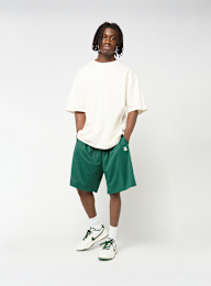 Karl Kani, Insignia Shadow Pinstripe Soccer Shorts, groen, Afbeelding 4 van 4