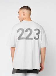 HALO, Graphic Boxy T-Shirt, grey, Image 1 of 5