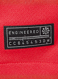 Nike, PSG Y NK DF JSY SS STAD 3R - D. Doué - 14, red, Image 4 of 7