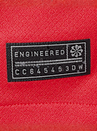 Nike, Vitinha / No. 17 / PSG Nike Third Stadium 2025/26, red, Image 4 of 7