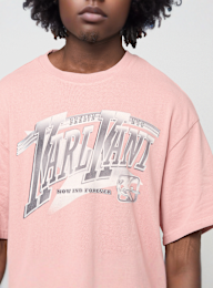 Karl Kani, Sport Gradient Boxy T-Shirt, light pink, Image 3 of 4