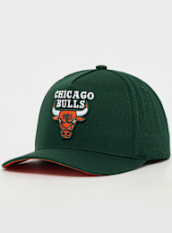 Mitchell & Ness, Pro Crown NBA Chicago Bulls, green, Image 1 of 5