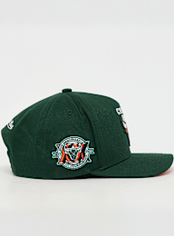 Mitchell & Ness, Pro Crown NBA Chicago Bulls, green, Image 3 of 5