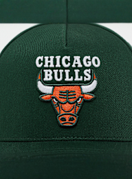 Mitchell & Ness, Pro Crown NBA Chicago Bulls, green, Image 5 of 5