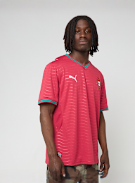 PUMA, Portugal Wolrd Cup 2026 Home Jersey, red, Image 1 of 7