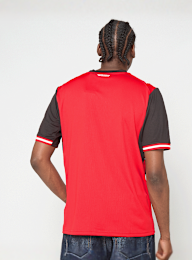 PUMA, Austria 2026 Home Jersey, red, Image 2 of 5