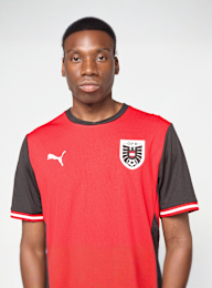 PUMA, Austria 2026 Home Jersey, red, Image 3 of 5